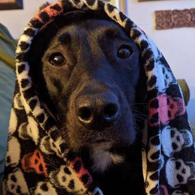 Dottie Valentine