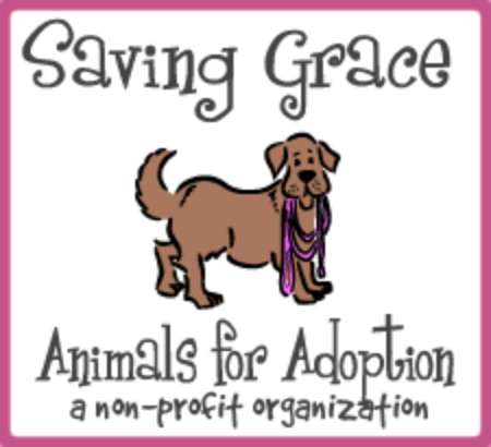 sg-logo=dark-pink Saving Grace Logo